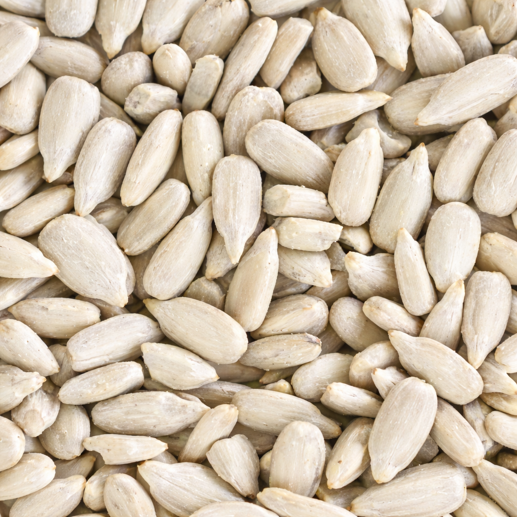 SUNFLOWER SEEDS